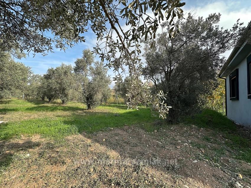 2+1 Freistehendes Ferienhaus Zum Verkauf In Seferihisar Kavaklıdere